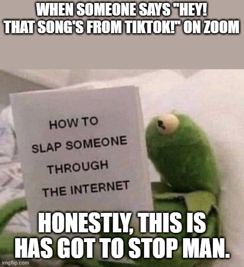 How to Slap an Idiot Through the Internet | WHEN SOMEONE SAYS "HEY! THAT SONG'S FROM TIKTOK!" ON ZOOM; HONESTLY, THIS IS HAS GOT TO STOP MAN. | image tagged in kermit how to slap someone through the internet | made w/ Imgflip meme maker