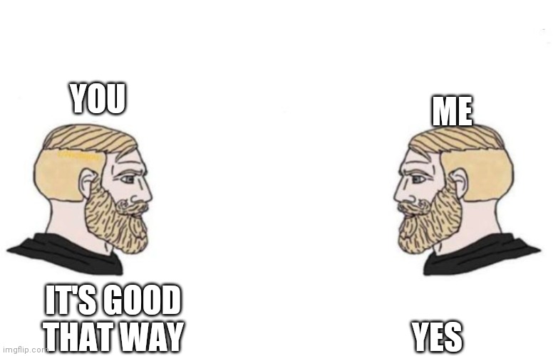 Double Yes Chad | YOU IT'S GOOD THAT WAY YES ME | image tagged in double yes chad | made w/ Imgflip meme maker