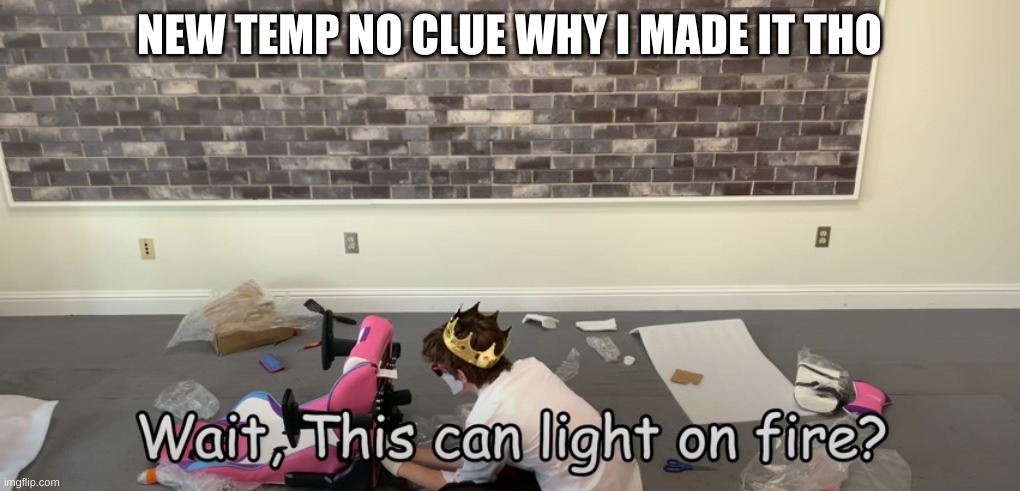 NEW TEMP NO CLUE WHY I MADE IT THO | image tagged in wait can this light on fire | made w/ Imgflip meme maker