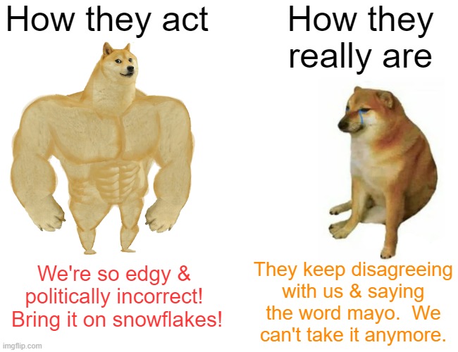 The fall of the politics stream | How they act; How they really are; We're so edgy & politically incorrect!  Bring it on snowflakes! They keep disagreeing with us & saying the word mayo.  We can't take it anymore. | image tagged in memes,buff doge vs cheems,liberals vs conservatives,imgflip trolls,pathetic | made w/ Imgflip meme maker