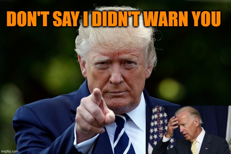 2020 Election Fiasco On Display | DON'T SAY I DIDN'T WARN YOU | image tagged in donald j trump,joe biden,2020 election | made w/ Imgflip meme maker