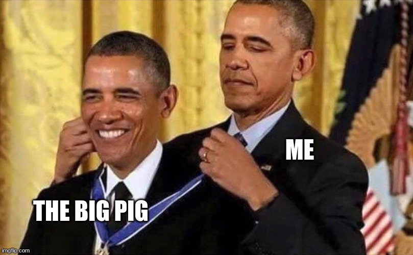 ME THE BIG PIG | image tagged in obama medal | made w/ Imgflip meme maker