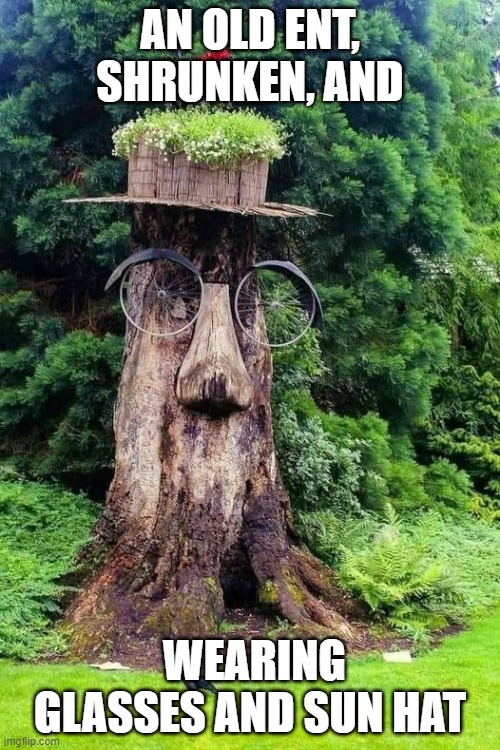 Ent | AN OLD ENT, SHRUNKEN, AND; WEARING GLASSES AND SUN HAT | image tagged in trees | made w/ Imgflip meme maker