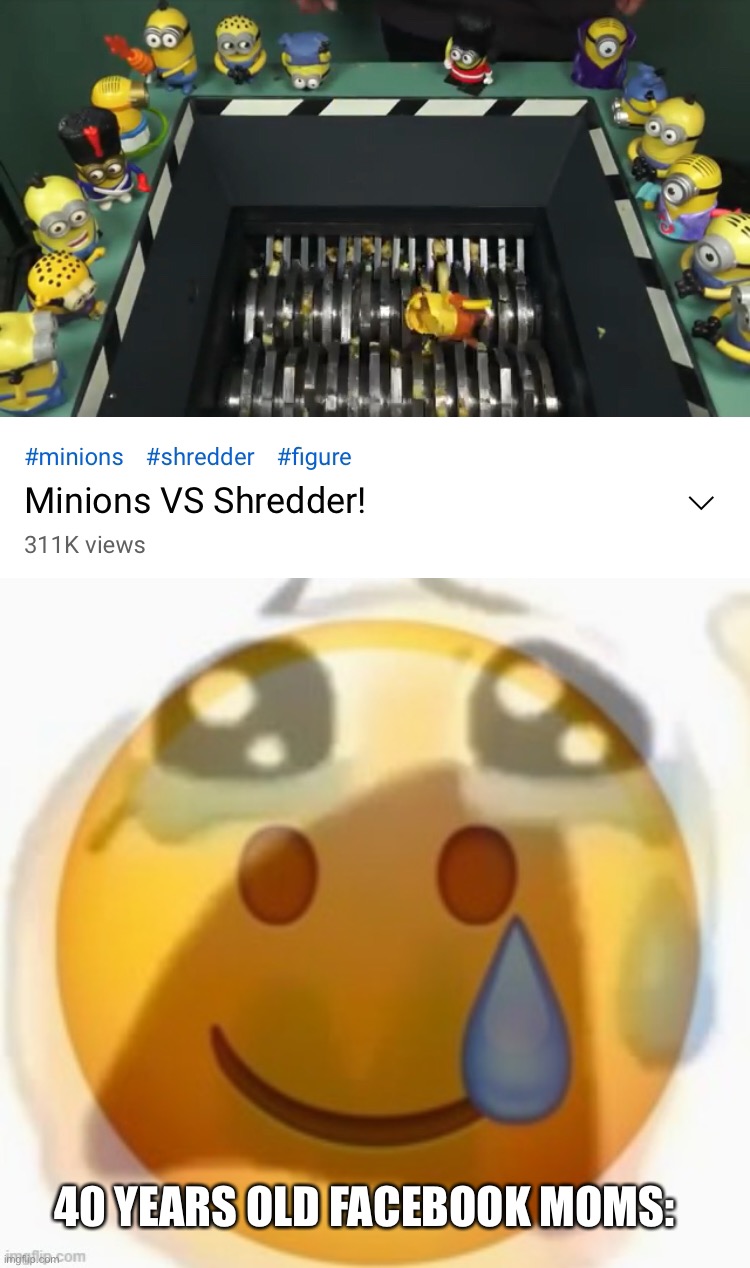 We did it boys, Minions is no more | 40 YEARS OLD FACEBOOK MOMS: | image tagged in pain | made w/ Imgflip meme maker