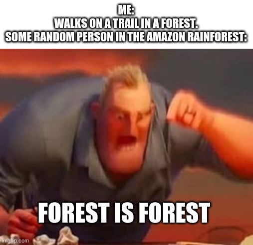 Mr incredible mad | ME:
WALKS ON A TRAIL IN A FOREST.
SOME RANDOM PERSON IN THE AMAZON RAINFOREST:; FOREST IS FOREST | image tagged in mr incredible mad | made w/ Imgflip meme maker