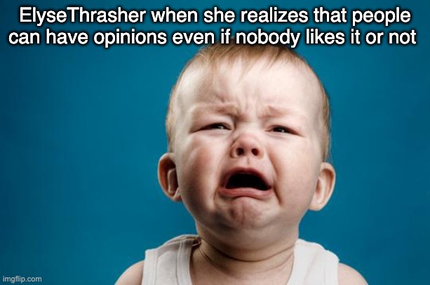 BABY CRYING | ElyseThrasher when she realizes that people can have opinions even if nobody likes it or not | image tagged in baby crying | made w/ Imgflip meme maker