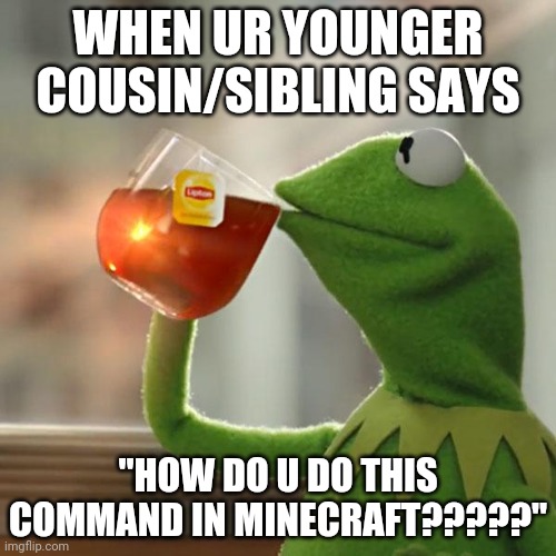 based on my experiences but probably still relatable | WHEN UR YOUNGER COUSIN/SIBLING SAYS; "HOW DO U DO THIS COMMAND IN MINECRAFT?????" | image tagged in memes,but that's none of my business,kermit the frog | made w/ Imgflip meme maker