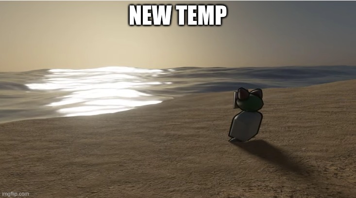 Tiky at the beach | NEW TEMP | image tagged in tiky at the beach | made w/ Imgflip meme maker