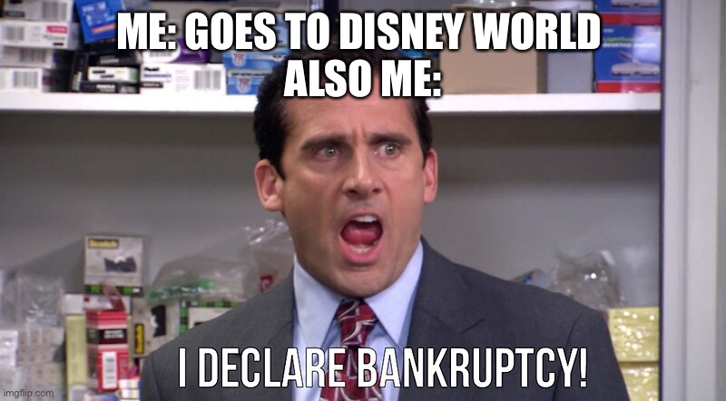 I declare Bankruptcy!!!!!! | ME: GOES TO DISNEY WORLD 
ALSO ME: | image tagged in i declare bankruptcy | made w/ Imgflip meme maker