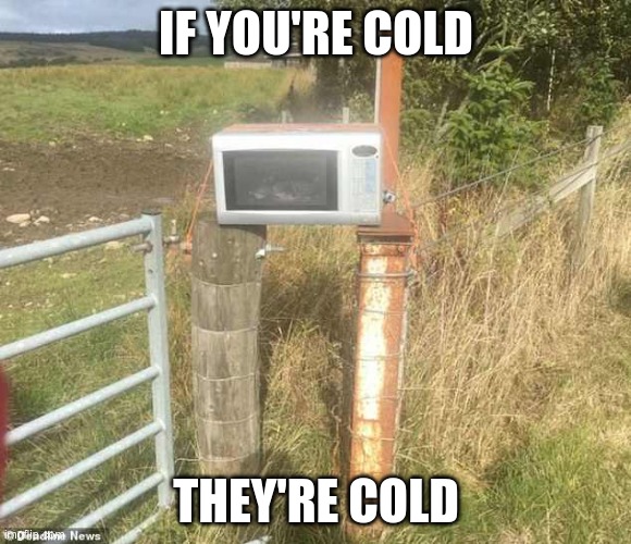 If you're cold they're cold microwave edition | IF YOU'RE COLD; THEY'RE COLD | image tagged in outside microwave | made w/ Imgflip meme maker