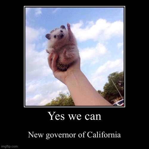 The new Governor | image tagged in funny,demotivationals,governor,regular the hedgehog | made w/ Imgflip demotivational maker