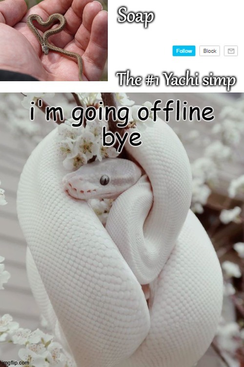 i won't be on more today | i'm going offline
bye | image tagged in soap snake temp ty yachi | made w/ Imgflip meme maker