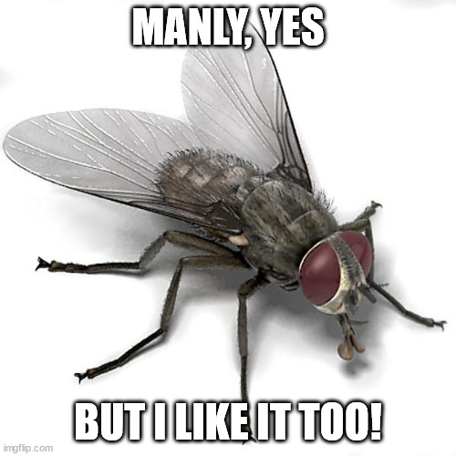 Irish Spring repels flies | MANLY, YES; BUT I LIKE IT TOO! | image tagged in scumbag house fly | made w/ Imgflip meme maker