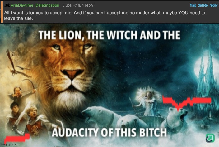 image tagged in the lion the witch and the audacity of this bitch | made w/ Imgflip meme maker