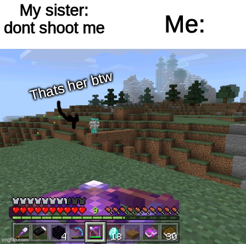 Hehe | Me:; My sister: dont shoot me; Thats her btw | image tagged in minecraft memes | made w/ Imgflip meme maker