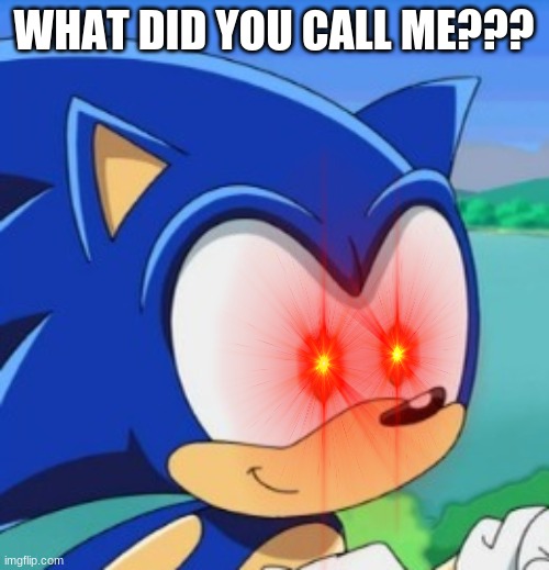 WHAT DID YOU CALL ME??? | made w/ Imgflip meme maker