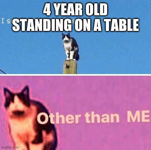 Hail pole cat | 4 YEAR OLD STANDING ON A TABLE | image tagged in hail pole cat | made w/ Imgflip meme maker