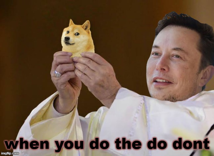 Dogecoin | when you do the do dont | image tagged in dogecoin | made w/ Imgflip meme maker