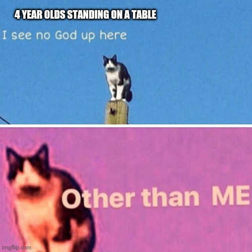 Hail pole cat | 4 YEAR OLDS STANDING ON A TABLE | image tagged in hail pole cat | made w/ Imgflip meme maker