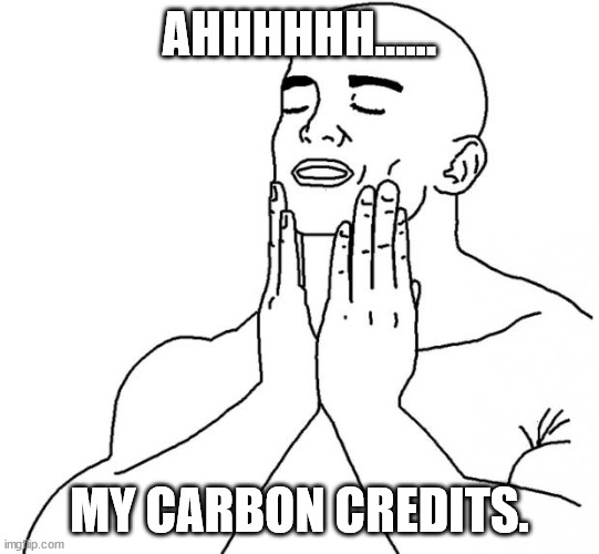 Feels Good Man | AHHHHHH...... MY CARBON CREDITS. | image tagged in feels good man | made w/ Imgflip meme maker