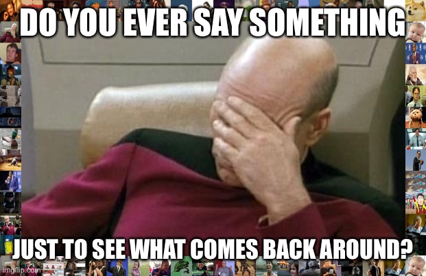Captain Picard Facepalm | DO YOU EVER SAY SOMETHING; JUST TO SEE WHAT COMES BACK AROUND? | image tagged in memes,captain picard facepalm | made w/ Imgflip meme maker