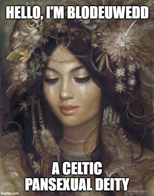 That just might be the cutest deity i've ever seen | HELLO, I'M BLODEUWEDD; A CELTIC PANSEXUAL DEITY | image tagged in deities,lgbt,pan,panromantic too,cute | made w/ Imgflip meme maker