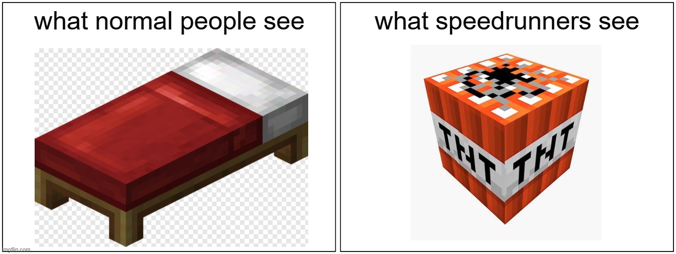 minecraft | what normal people see; what speedrunners see | image tagged in memes,blank comic panel 2x1 | made w/ Imgflip meme maker