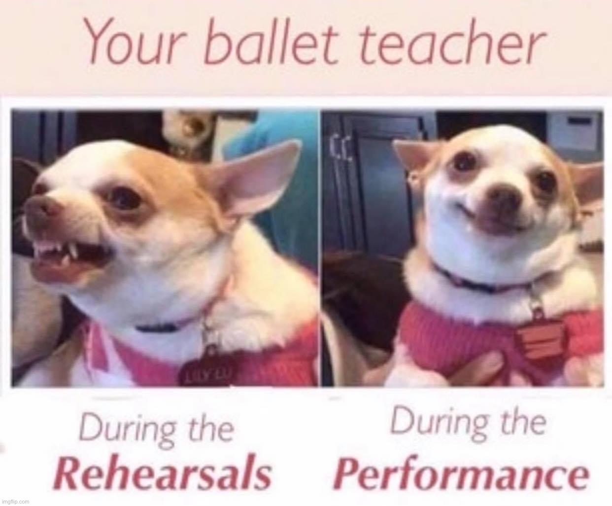 Your ballet teacher | image tagged in your ballet teacher | made w/ Imgflip meme maker