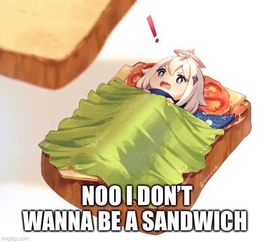 NOO I DON’T WANNA BE A SANDWICH | made w/ Imgflip meme maker