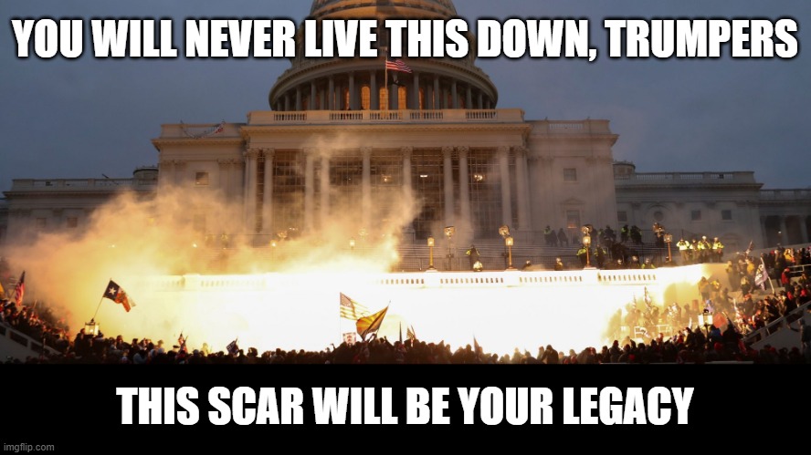 YOU WILL NEVER LIVE THIS DOWN, TRUMPERS; THIS SCAR WILL BE YOUR LEGACY | image tagged in riot,trumpers,election 2020 | made w/ Imgflip meme maker