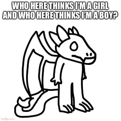 I want to know. | WHO HERE THINKS I’M A GIRL AND WHO HERE THINKS I’M A BOY? | made w/ Imgflip meme maker