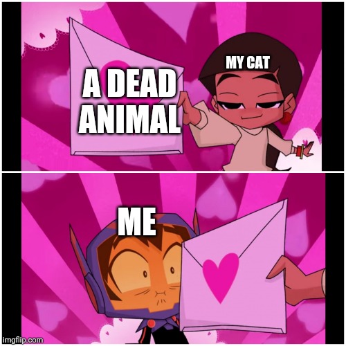 Another dead bird? C'mon! | MY CAT; A DEAD ANIMAL; ME | image tagged in letter to hiro,memes | made w/ Imgflip meme maker