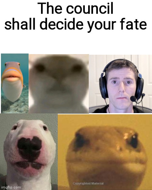 Blank Transparent Square | The council shall decide your fate | image tagged in memes,blank transparent square | made w/ Imgflip meme maker