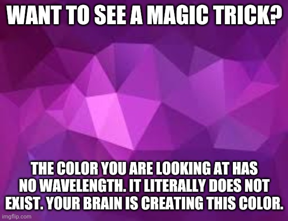 Magenta Crystal Template | WANT TO SEE A MAGIC TRICK? THE COLOR YOU ARE LOOKING AT HAS NO WAVELENGTH. IT LITERALLY DOES NOT EXIST. YOUR BRAIN IS CREATING THIS COLOR. | image tagged in magenta crystal template | made w/ Imgflip meme maker