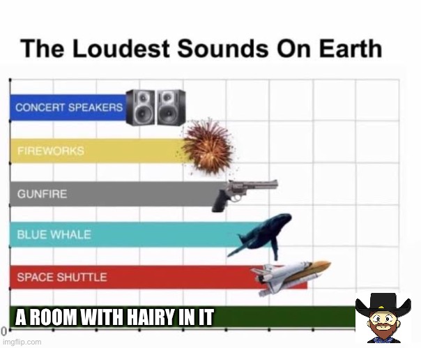 Rec Room Player Meme#1 | A ROOM WITH HAIRY IN IT | image tagged in the loudest sounds on earth | made w/ Imgflip meme maker