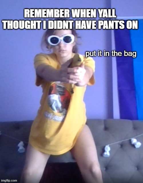 put it in the bag | REMEMBER WHEN YALL THOUGHT I DIDNT HAVE PANTS ON | image tagged in put it in the bag | made w/ Imgflip meme maker