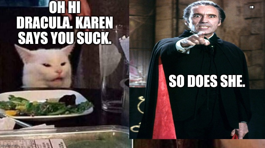 OH HI DRACULA. KAREN SAYS YOU SUCK. J M; SO DOES SHE. | image tagged in smudge the cat | made w/ Imgflip meme maker