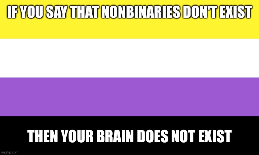 Nonbinary | IF YOU SAY THAT NONBINARIES DON'T EXIST; THEN YOUR BRAIN DOES NOT EXIST | image tagged in nonbinary | made w/ Imgflip meme maker