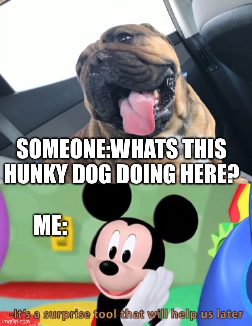 SOMEONE:WHATS THIS HUNKY DOG DOING HERE? ME: | image tagged in mickey mouse tool | made w/ Imgflip meme maker