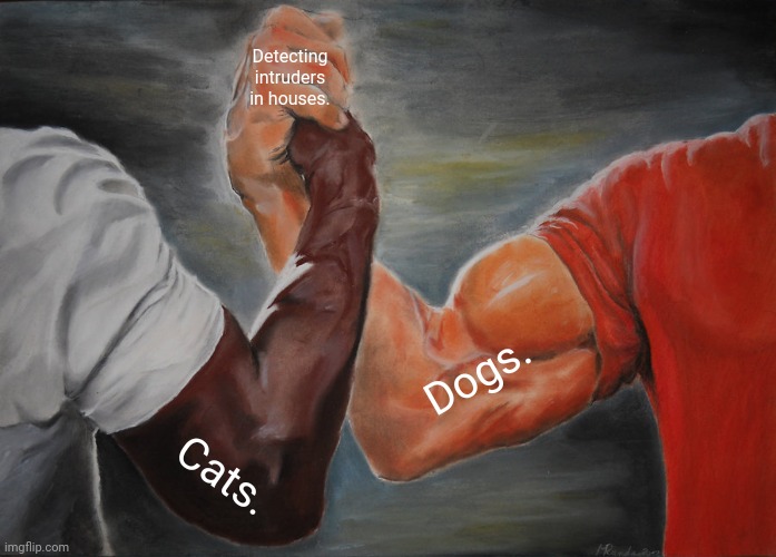 Epic Handshake | Detecting intruders in houses. Dogs. Cats. | image tagged in memes,epic handshake,warrior cats | made w/ Imgflip meme maker
