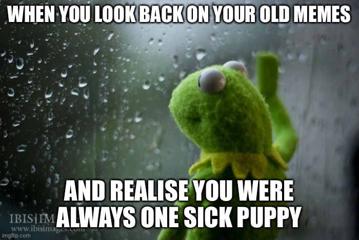 Sick puppy kermit | WHEN YOU LOOK BACK ON YOUR OLD MEMES; AND REALISE YOU WERE ALWAYS ONE SICK PUPPY | image tagged in kermit window,puppy,sick,sick humor,memes | made w/ Imgflip meme maker