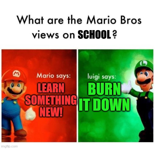 Mario says Luigi says | SCHOOL; BURN IT DOWN; LEARN SOMETHING NEW! | image tagged in mario says luigi says,school,school sucks,class | made w/ Imgflip meme maker