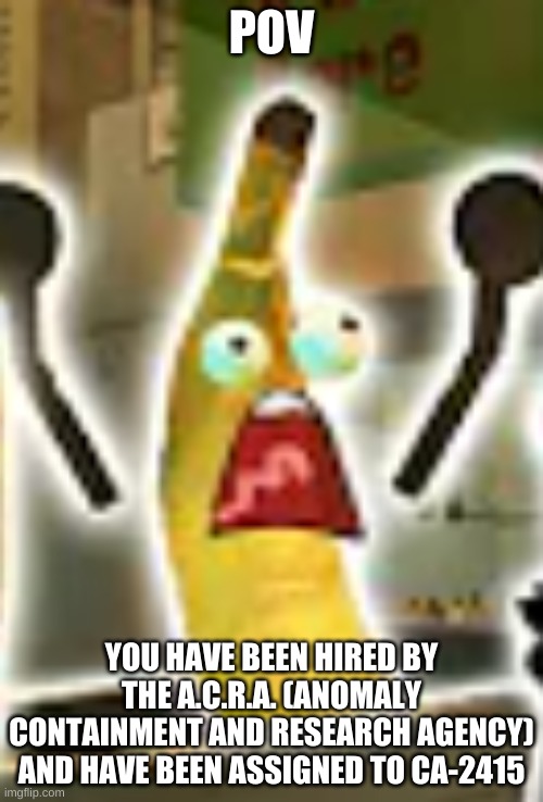 joe has nothing to do with this rp | POV; YOU HAVE BEEN HIRED BY THE A.C.R.A. (ANOMALY CONTAINMENT AND RESEARCH AGENCY) AND HAVE BEEN ASSIGNED TO CA-2415 | image tagged in joe screaming | made w/ Imgflip meme maker