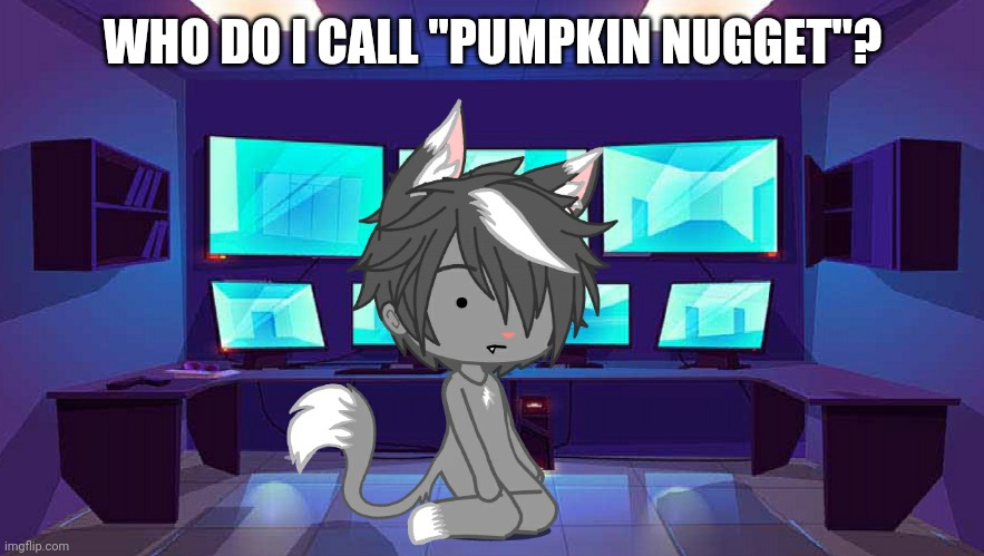 .(rephrase: I call someone "pumpkin nugget", guess who it is) | WHO DO I CALL "PUMPKIN NUGGET"? | image tagged in never gonna give you up,never gonna let you down,never gonna run around,and desert you,hee hee | made w/ Imgflip meme maker
