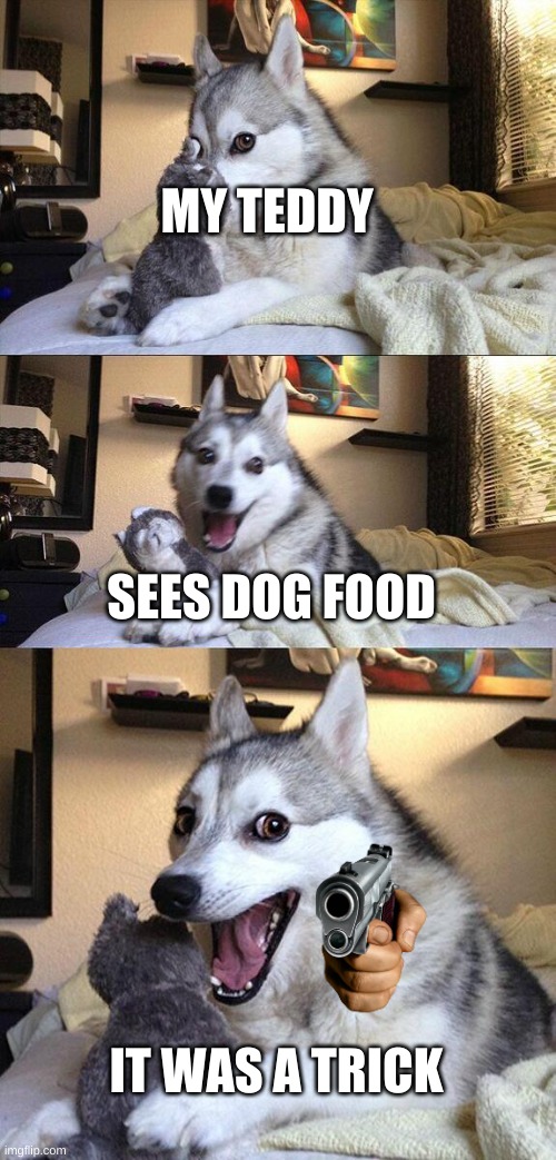 FOOD | MY TEDDY; SEES DOG FOOD; IT WAS A TRICK | image tagged in memes,bad pun dog | made w/ Imgflip meme maker