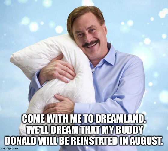 The Pillow Guy will make your dreams come true. | COME WITH ME TO DREAMLAND.  WE'LL DREAM THAT MY BUDDY DONALD WILL BE REINSTATED IN AUGUST. | image tagged in my pillow guy | made w/ Imgflip meme maker