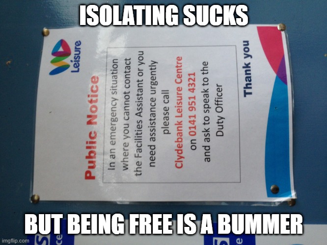 isolating sucks | ISOLATING SUCKS; BUT BEING FREE IS A BUMMER | image tagged in isolating sucks,covid test,vaccine,staysafe | made w/ Imgflip meme maker