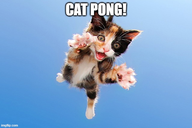 Cat Jumping | CAT PONG! | image tagged in cat jumping | made w/ Imgflip meme maker