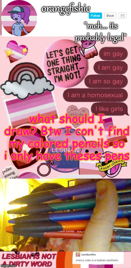 wait i just found a black pen and a light blue pen | what should I draw? Btw I con't find my colored pencils so i only have theses pens | image tagged in orangefishie's template | made w/ Imgflip meme maker