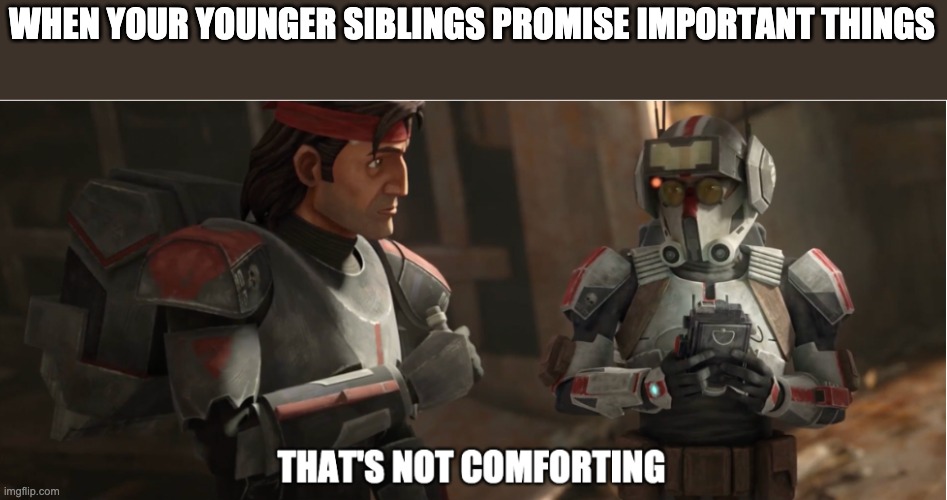 that's not comforting | WHEN YOUR YOUNGER SIBLINGS PROMISE IMPORTANT THINGS | image tagged in that's not comforting,siblings,the bad batch | made w/ Imgflip meme maker
